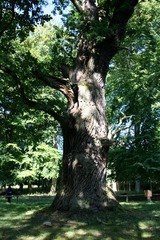 Killikus&reg; Fotographie